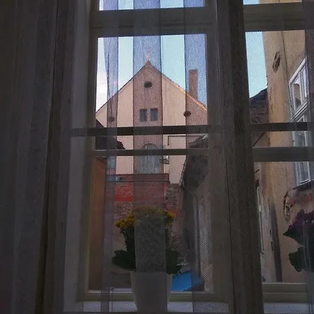 Real Charles Bridge Apartment. Prága